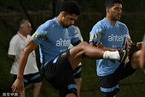 关于乌拉圭女足队遭遇瑞典绝杀,悲剧告终的信息 关于乌拉圭女足队遭遇瑞典绝杀,悲剧告终的信息